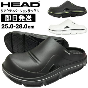 HEAD wbh T_ ANeBx[VT_ NbOT_ Jo[T_ X|[cT_  Y HDM00247yzsz