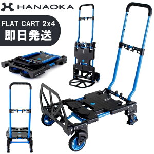 ԉq niIJ tbgJ[g2×4 c[oCtH[ Lv J[g  ܂肽 y RpNg F-CART 2x4 BBQ o[xL[ K[fjO | AEghA X|[c z FCART2X4y