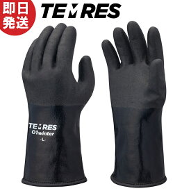 【ネコポス送料無料】テムレス ブラック TEMRES 01winter 防寒 ウィンター 手袋 グローブ TEMRES01WIN