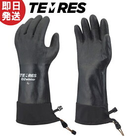 【ネコポス送料無料】テムレス ブラック TEMRES 02winter 防寒 ウィンター 手袋 グローブ TEMRES02WIN