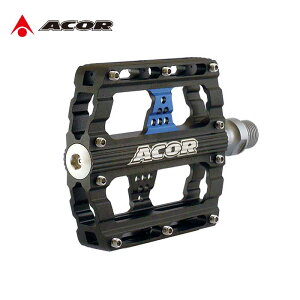 yVX[p[SALE100~N[| ] THIN FORMy_ E yA y_  CNCH tbgy_ RtH[gy_ sdl ACOR GCJ[ APD-2806 NXoCN [hoCN }E