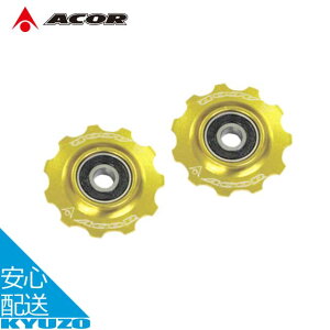 ] A~v[[ 2Zbg 11T ϑ@ hXAbv xAO AfB[[ ACOR GCJ[ ARO-2501  eiX  C [֑