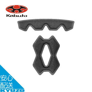 Ci[pbhZbg -16 wbg Cp[c PINE  qpwbg LbYwbg pC OGK KABUTO Jug [֑