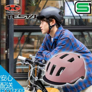 qp wbg ] TESTA eX^ SGKi oCU[ I[Eh Xg[gX^C t[Ch OGK KABUTO Jug S S w wN wN w Z ]ԗpwbg 