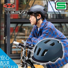 マラソン19%OFF 子供用 ヘルメット 自転車 TESTA テスタ SG規格 バイザー オールラウンド ストリートスタイル フリーライド OGK KABUTO カブト 安心 安全 小学生 中学年 高学年 中学生 高校生 自転車用ヘルメット 夏休み プレゼント あす楽対応