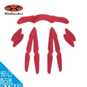 STEAIR / STEAIR-X pm[}Ci[pbhZbg ] wbg C p 10mm OGK KABUTO Jug [֑