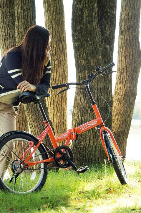 フィールド チャンプ 折りたたみ 自転車