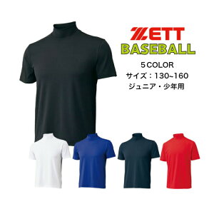 y[ւƑz싅 A_[Vc nClbN ZETT [bg BO1920J | WjA q N x[X{[  A_[Vc Ci[ Vc t   w w [