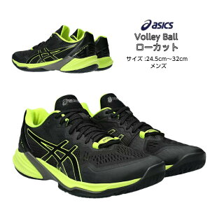 【在庫一掃セール】バレーボールシューズ ローカット SKY ELITE FF LO 2 フラッグシップモデル asics アシックス 1051A064 004 【送料無料】 スカイエリート ロー メンズ 高校生 大学生 シューズ バレ