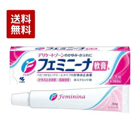 【第2類医薬品】フェミニーナ軟膏S 30g デリケートゾーンのかゆみ かゆみ止め 非ステロイド