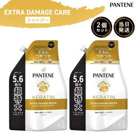 パンテーン シャンプー 詰め替え エクストラダメージケア 超特大 1700ml×2個セット 大容量