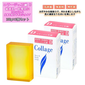 R[WD pΌ 100g×2Zbg