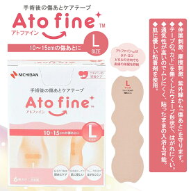 アトファイン Lサイズ 6枚入