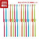 牙刷｜Ciメディカル Ci700 歯ブラシ M ふつう 30本セット 歯科専売品
