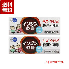 【第3類医薬品】イソジン軟膏 5g×2個セット