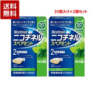 【第(2)類医薬品】ニコチネル スペアミント 20個入×2個セット