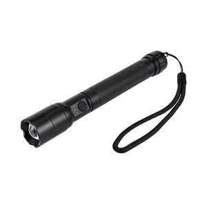 �G���p(ELPA) LED�����d�� �h�� ���邳350���[���� �n���h�X�g���b�v�t�� �d�r�� �d�r�c�ʕ\�� �V���o�[ DOP-EP530