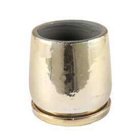 ダルトン(Dulton)ROUND POT GOLD M