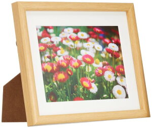 FUJICOLOR �ؐ��z�� M20 �L���r�l 2L �ؒn 407765