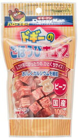 ドギーマン ドギーのごほうびキューブ ビーフ 100g×6個セット