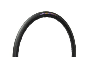 �p�i���[�T�[(Panaracer) �A�W���X�g DURO TLR 700×25C �`���[�u���X���f�B �� F725TR-AGD-B