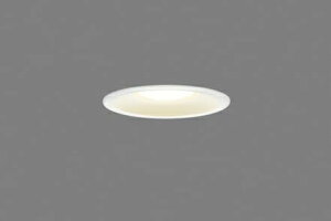 ���� �Z��p�Ɩ���� �������A�E�g�h�A�_�E�����C�g LED��̌` ��������100mm ���M�����100W�N���X �d���F(2700K) ��(�z���C�g) LEDD87053L(W)-LS