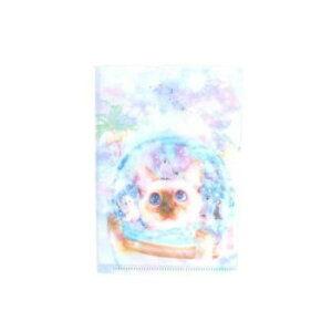 �Ƃ��Ƃ��T�[�J�X A6�N���A�t�@�C�� �L/�l�R �u�X�m�[�h�[���̂��Ƃ������v 3���Z�b�g ST-CFA6-003