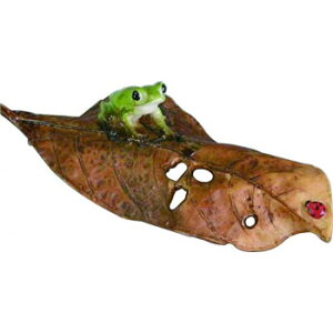 �s�b�R�� Frog 82782