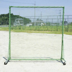 Œ莮 htFX(ԕt) B-734