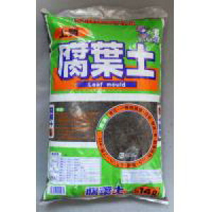 |@ty14L@8܁@(4939091011281)