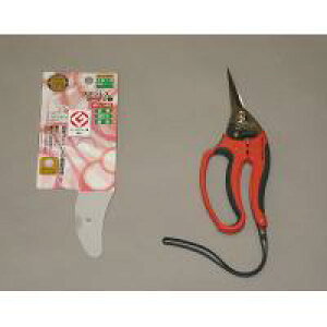 190613 ۈ}CtBbgK[fMF-140