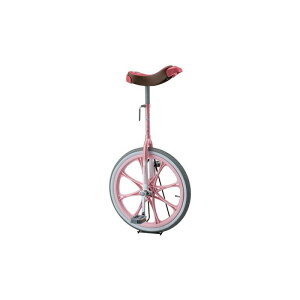 ��֎�20�T�C�Y�@�s���N F-2825P