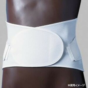 ���{�q�� �����Œ�у_�C���T�|�[�gII�^ 3L 100cm�`110cm 1�� 565