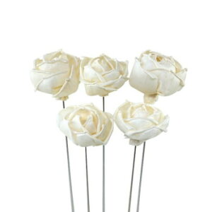 �\���t�����[ �X�e���^�C�v4 �i�`������(1��/5�{) Z-0349 ROSE-B 57r4000000002