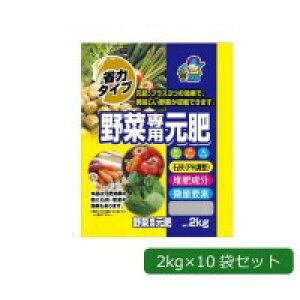 | ȗ̓^Cv ؐp (`b\7E_6EJ6) 2kg×10 1790213