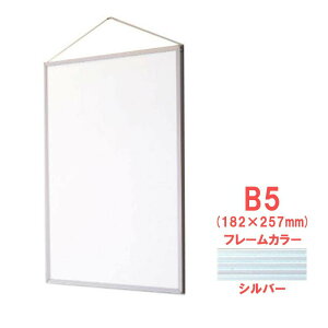 ARTE(Ae) A~t[ X^_[hV[Y GRCpl(R) B5(182×257mm) Vo[ ST-B5-SV