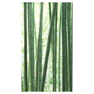 ̂ |   85cm×150cm (91053)