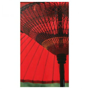 ̂ aP  85cm×150cm (91055)