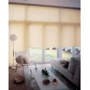 �^�`�J���@TIORIO�e�B�I���I�@���[���X�N���[�����n�h���K�i�i�@��55×����60cm