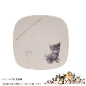 ���R�� �X�N�G�A�v���[�g(��) A�g(�S�[���f��) wa-psqs-S30