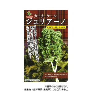 ���ю�c �P�[����q �W�����A�[�m�@5425�@����(100��)