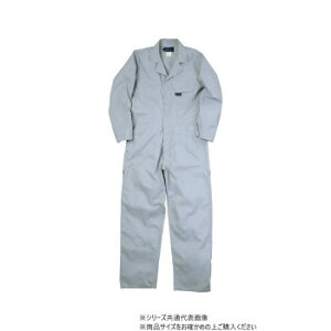 NqtN CATciM Vo[O[ LL 609