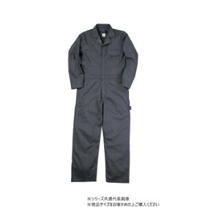 NqtN CATciM `R[O[ 4L 609