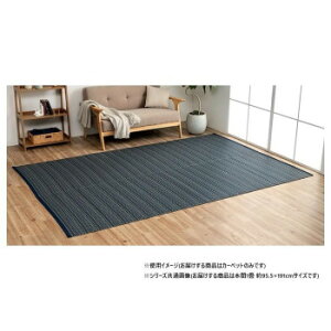 ���{�� �_�C�j���O���O ���ۃX�v���[ �l�C�r�[ �{��1�� ��95.5×191cm 1090031191502