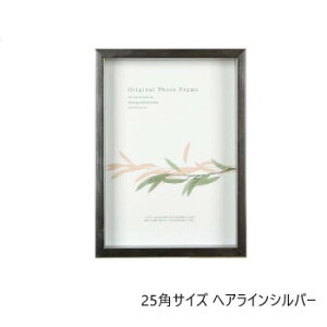 A.P.J. BOX�t���[�� �A�[�g�{�b�N�X�t���[��(����:35mm) 25�p�T�C�Y(250×250mm) �w�A���C���V���o�[ 0021768641