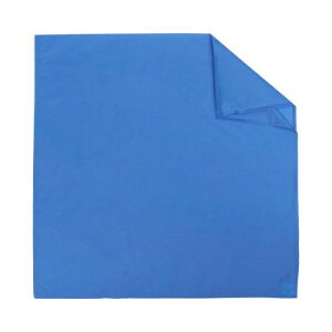 ��� �ڏ�V�[�g ��75×����75cm CX-04002 �u���[ 393775 P0306