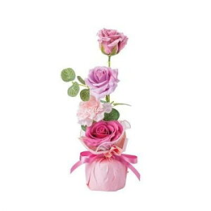 GREEN HOUSE �N���A���C���o�b�O�\�[�v�t�����[ �s���N 5580-PK