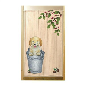 s[X̂@oPcɃS[fgo[@850×H1500@41990