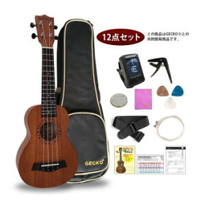 GECKO(�Q�b�R�[)×�A�[�o���ʏ� �E�N����(�[����12�_�Z�b�g) 21�C���` �\�v���m U21M NA