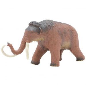 FP-302 PiK}X rj[f 77616